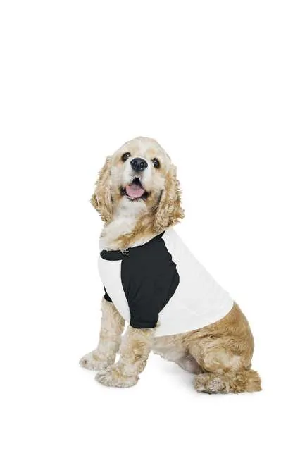 Tricou raglan pentru caini, din bumbac, cu maneci 3/4