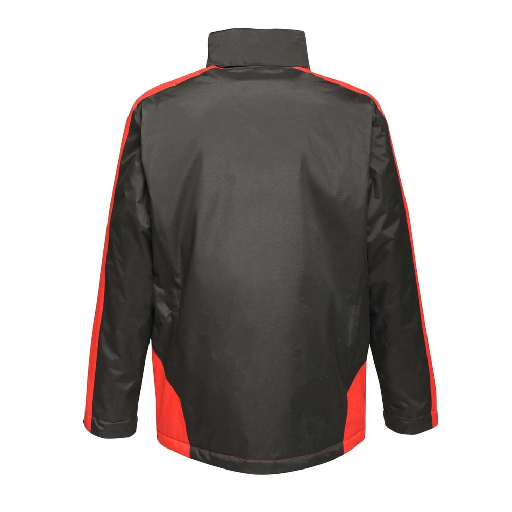 Geacă de iarnă bărbați Regatta Contrast Insulated RETRA312 · 300 g/m², poliester