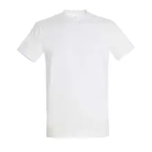 Absolute White