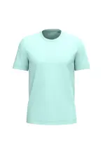 Ice Mint