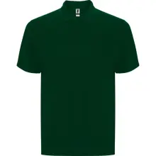 Verde Sticlă