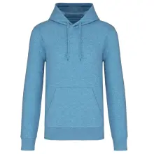 Cloudy Blue Heather