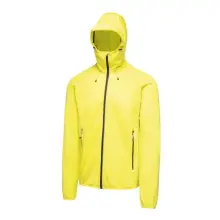 Neon Spring