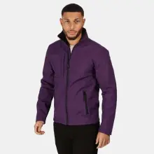 Majestic Purple/Black